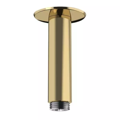 HG Raindance Потол. подсоед. 100мм, PGO ..