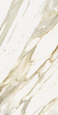 (tekdata) 610010002839_1.jpg palazzo.pro