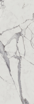 Шарм Эво Статуарио (25X75 Глянц.) ..