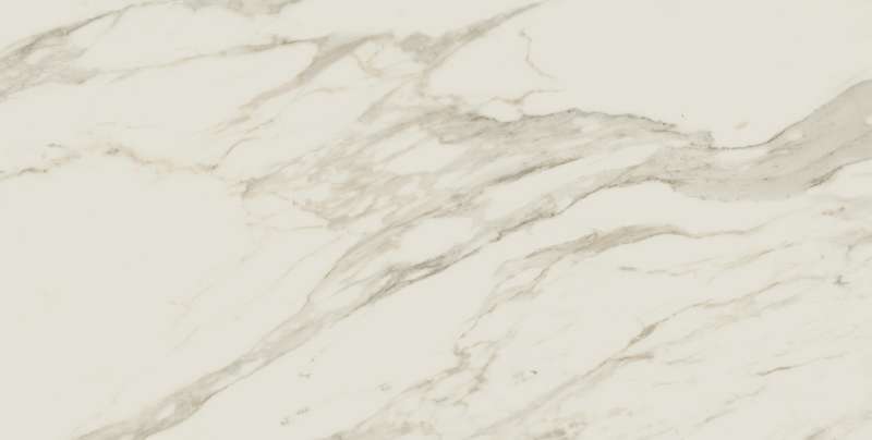 610015000599 610015000599