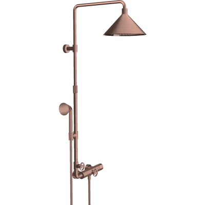 AX Raindance Select Ручной душ Axor BRG ..