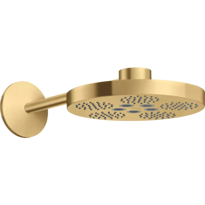 AX One Верхний душ 280 2jet с держ., BGO ..