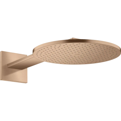 AX Верхний душ 300 1jet с держ., BRG ..