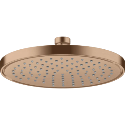 AX Conscious Showers Верхний душ 220 1jet, EcoSmart+, BRG ..