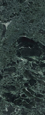 LAMFF01205
