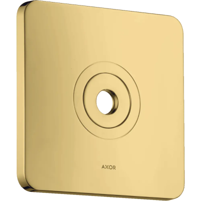 AX Citterio M Н. панель для в. душа, PGO ..