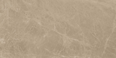 (tekdata) c617bc87fe4b93e924c463922d235be1.jpg palazzo.pro