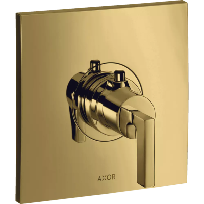 AX Citterio Термостат Highflow PGO ..