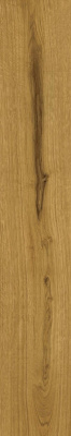 Exence Amber 20x120