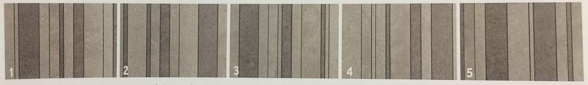 Canone Inverso 3 (47x147) ..