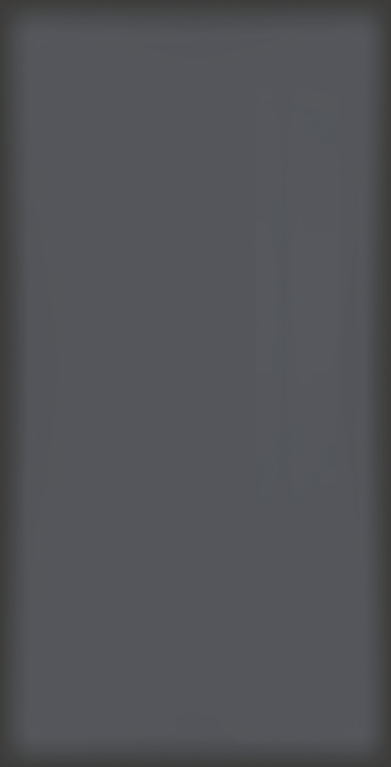 ЭТЕРНУМ ГЛАСС АВИО 80X160 ЛЮКС ..