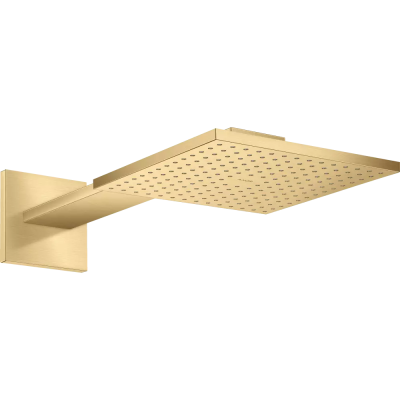 AX Верхний душ 250/250 2jet с держ., BGO ..