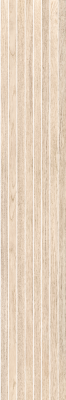 610010006253