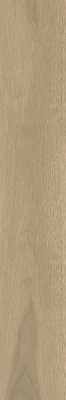 610010004068_4