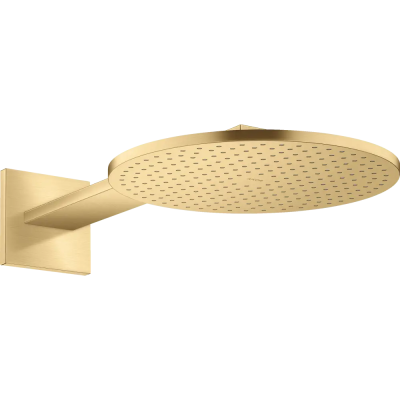 AX Верхний душ 300 2jet с держ., BGO ..