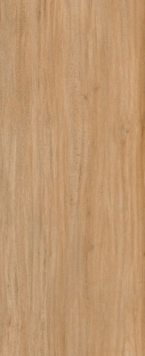 LAMF011050