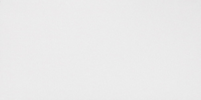 Solid White Matt  (40X80 Мат.)