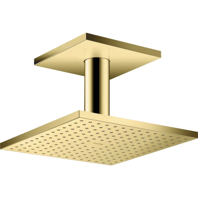 AX Верхний душ 250/250 2jet с пот. п,  PB ..