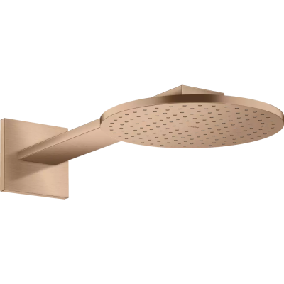 AX Верхний душ 250 1jet с держ., BRG ..