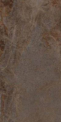 LAMF009555