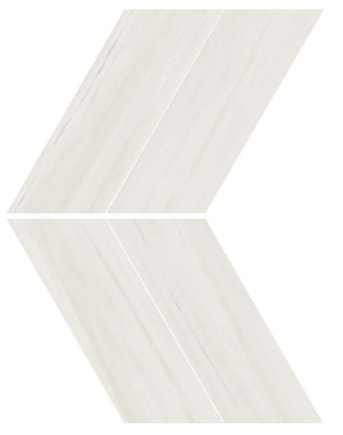 AS1Q