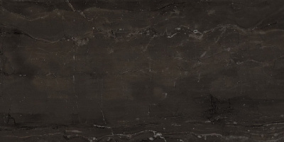 Marvel Absolute Brown 30x60 ..