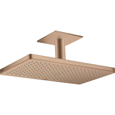 AX Верхний душ 460 1jet с пот. под., BRG ..