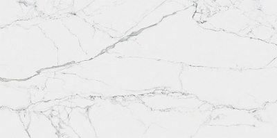CityMarble Статуарио Венато 60X120 Матовый   R10