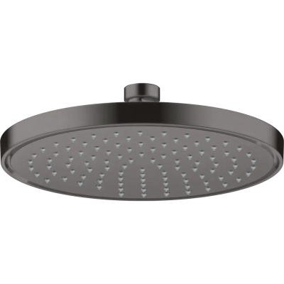 AX Con. Showers Верхний душ 220 1j, BBC ..