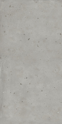 АВА.СИЛЬВЕР 60X120 РЕТ