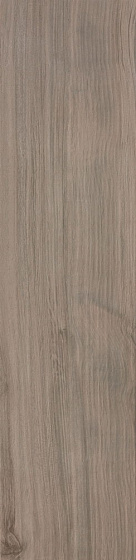 Etic Rovere Grigio 22,5x90 ..