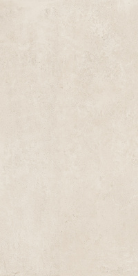 ЭТЕРНУМ СНОУ 60X120 РЕТ ..