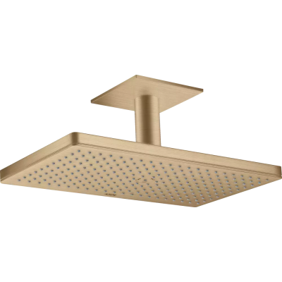 AX Верхний душ 460 1jet с пот. под., BBR ..