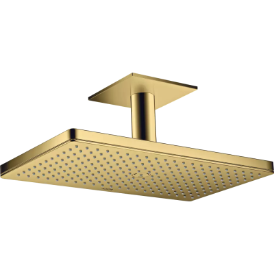 AX Верхний душ 460 1jet с пот. под., PGO ..