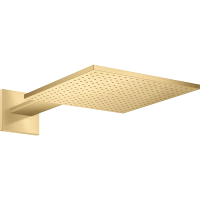 AX Верхний душ 300/300 2jet с держ., BGO ..