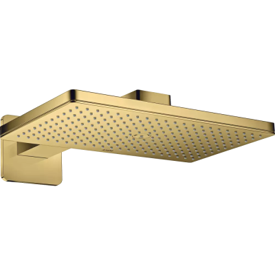 AX Верхний душ 460 1jet с держателем,PGO .. AX Верхний душ 460 1jet с держателем,PGO ..