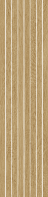 610010006248