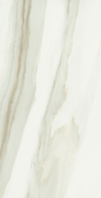 palazzo.pro_610010002158