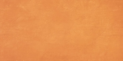 Керамич. плитка Ewall Orange 40x80