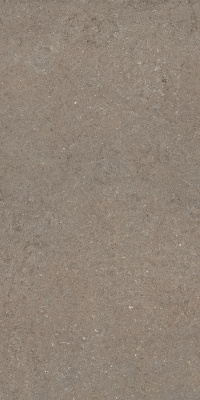 ДИСКАВЕР ДЕЗЕРТ 60X120 РЕТ