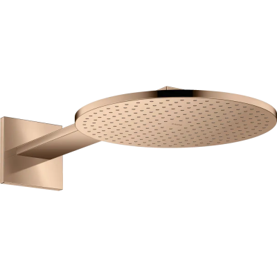 AX Верхний душ 300 1jet с держ., PRG ..