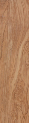 Etic Ulivo  (22.5X90 )