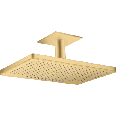 AX 460 2jet Верхний душ с п. подс., BGO ..